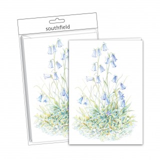 Bluebells Cards/Envs product image